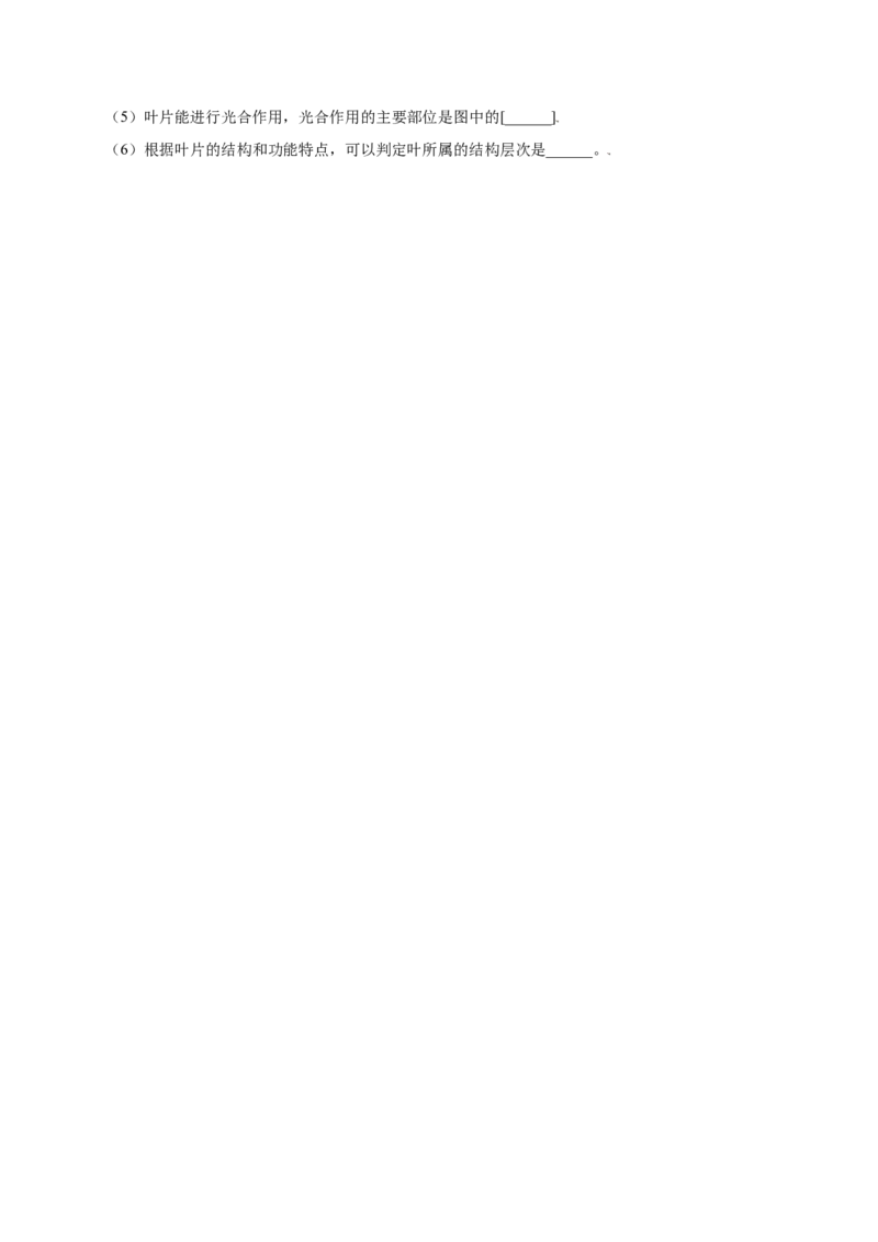 第3单元（第3章）绿色植物与生物圈的水循环（提分小卷）（人教版）（原卷版）_初中全科电子版试卷练习试题_生物_生物人教版7上练习&mdash;24新版已更新