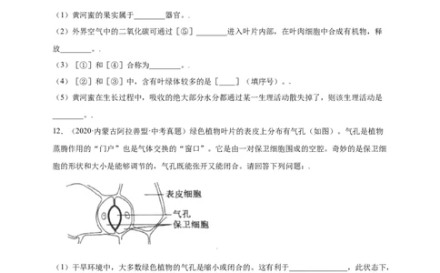 第3单元（第3章）绿色植物与生物圈的水循环（提分小卷）（人教版）（原卷版）_初中全科电子版试卷练习试题_生物_生物人教版7上练习&mdash;24新版已更新