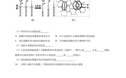 第3单元（第3章）绿色植物与生物圈的水循环（提分小卷）（人教版）（原卷版）_初中全科电子版试卷练习试题_生物_生物人教版7上练习&mdash;24新版已更新