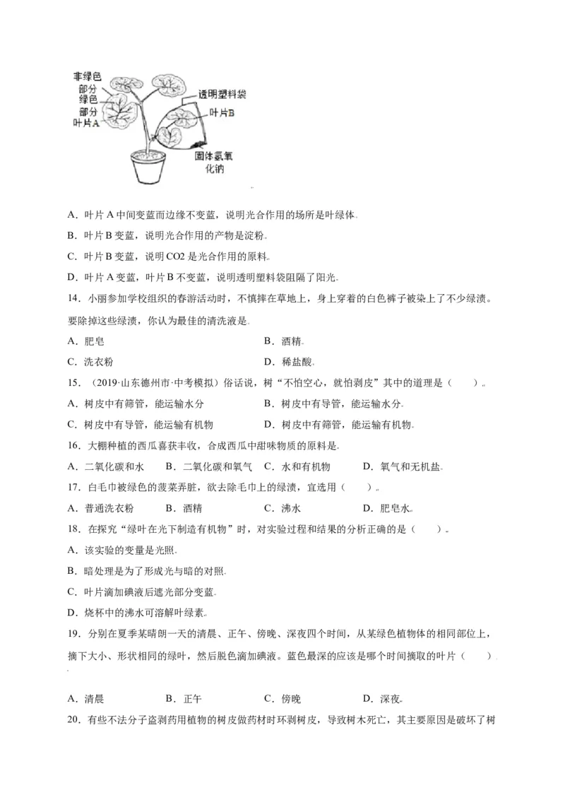 第3单元（第4章）绿色植物是生物圈中有机物的制造者（选拔卷）（人教版）（原卷版）_初中全科电子版试卷练习试题_生物_生物人教版7上练习&mdash;24新版已更新