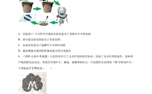 第3单元（第4章）绿色植物是生物圈中有机物的制造者（选拔卷）（人教版）（原卷版）_初中全科电子版试卷练习试题_生物_生物人教版7上练习&mdash;24新版已更新