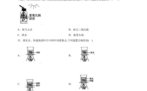 第3单元（第4章）绿色植物是生物圈中有机物的制造者（选拔卷）（人教版）（原卷版）_初中全科电子版试卷练习试题_生物_生物人教版7上练习&mdash;24新版已更新