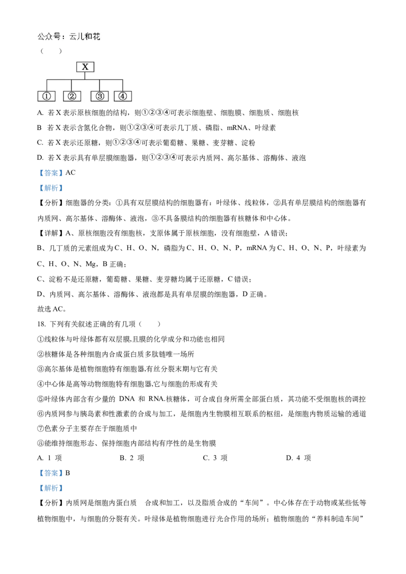吉林省友好学校第78届期中联考2024-2025学年高一上学期期中考试生物试题Word版含解析_2024年11月试卷_1114吉林省友好学校2024-2025学年高一上学期10月期中联考