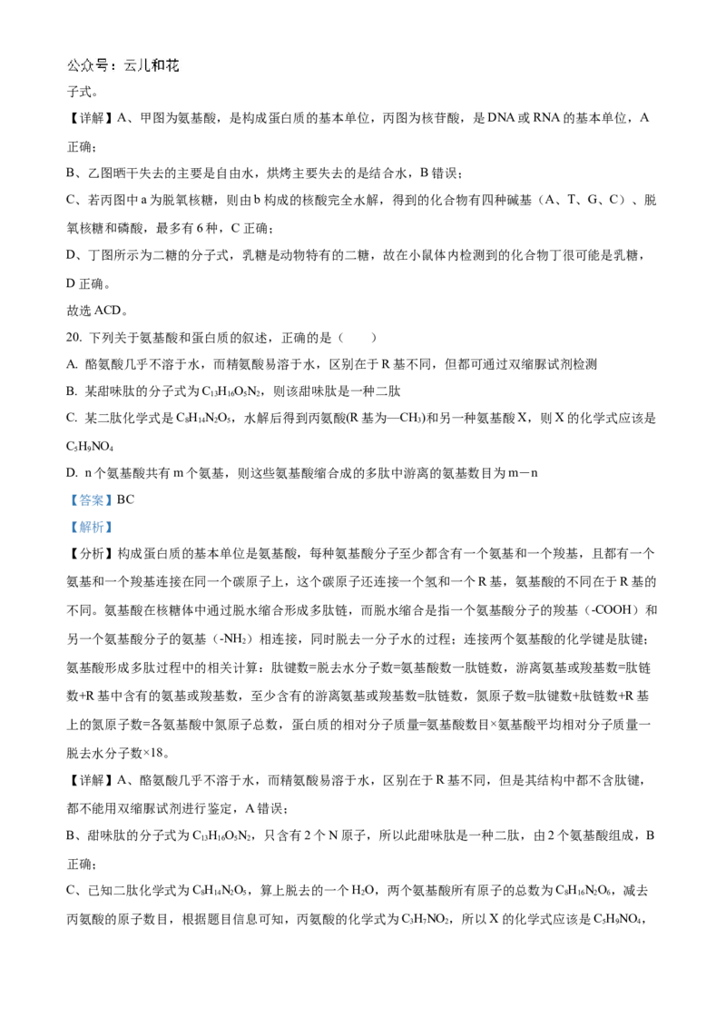 吉林省友好学校第78届期中联考2024-2025学年高一上学期期中考试生物试题Word版含解析_2024年11月试卷_1114吉林省友好学校2024-2025学年高一上学期10月期中联考