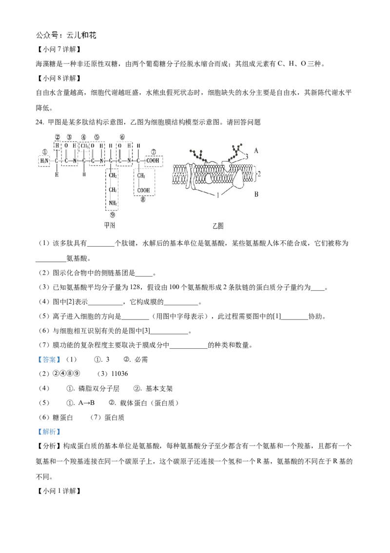 吉林省友好学校第78届期中联考2024-2025学年高一上学期期中考试生物试题Word版含解析_2024年11月试卷_1114吉林省友好学校2024-2025学年高一上学期10月期中联考
