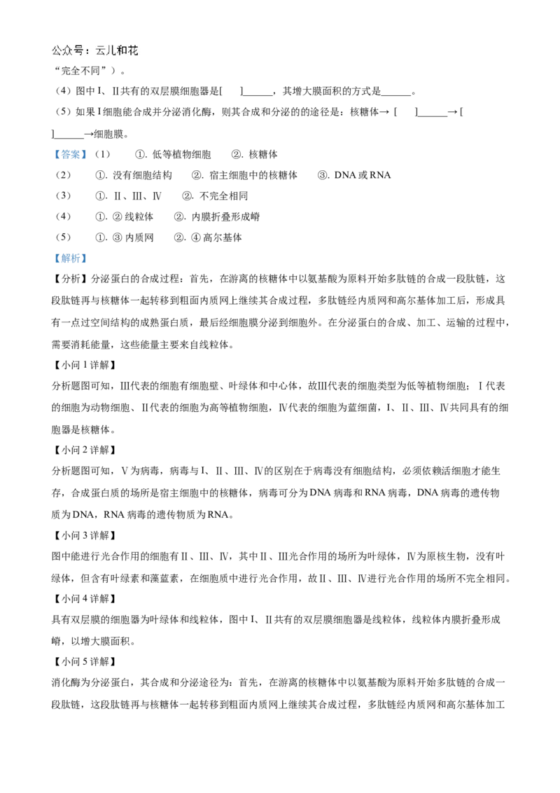 吉林省友好学校第78届期中联考2024-2025学年高一上学期期中考试生物试题Word版含解析_2024年11月试卷_1114吉林省友好学校2024-2025学年高一上学期10月期中联考