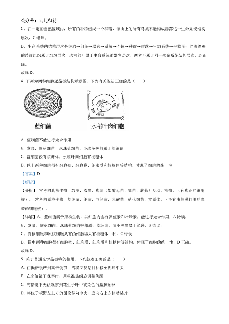 吉林省友好学校第78届期中联考2024-2025学年高一上学期期中考试生物试题Word版含解析_2024年11月试卷_1114吉林省友好学校2024-2025学年高一上学期10月期中联考