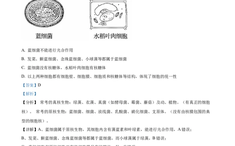 吉林省友好学校第78届期中联考2024-2025学年高一上学期期中考试生物试题Word版含解析_2024年11月试卷_1114吉林省友好学校2024-2025学年高一上学期10月期中联考