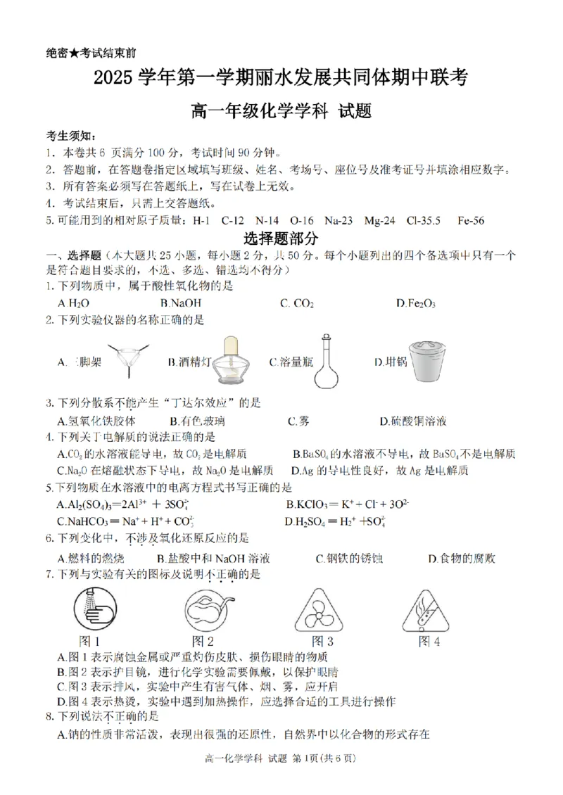 化学卷-2511高一丽水发展共同体_2025年12月高一试卷_251210浙江省丽水发展共同体2025-2026学年高一上学期11月期中（全）