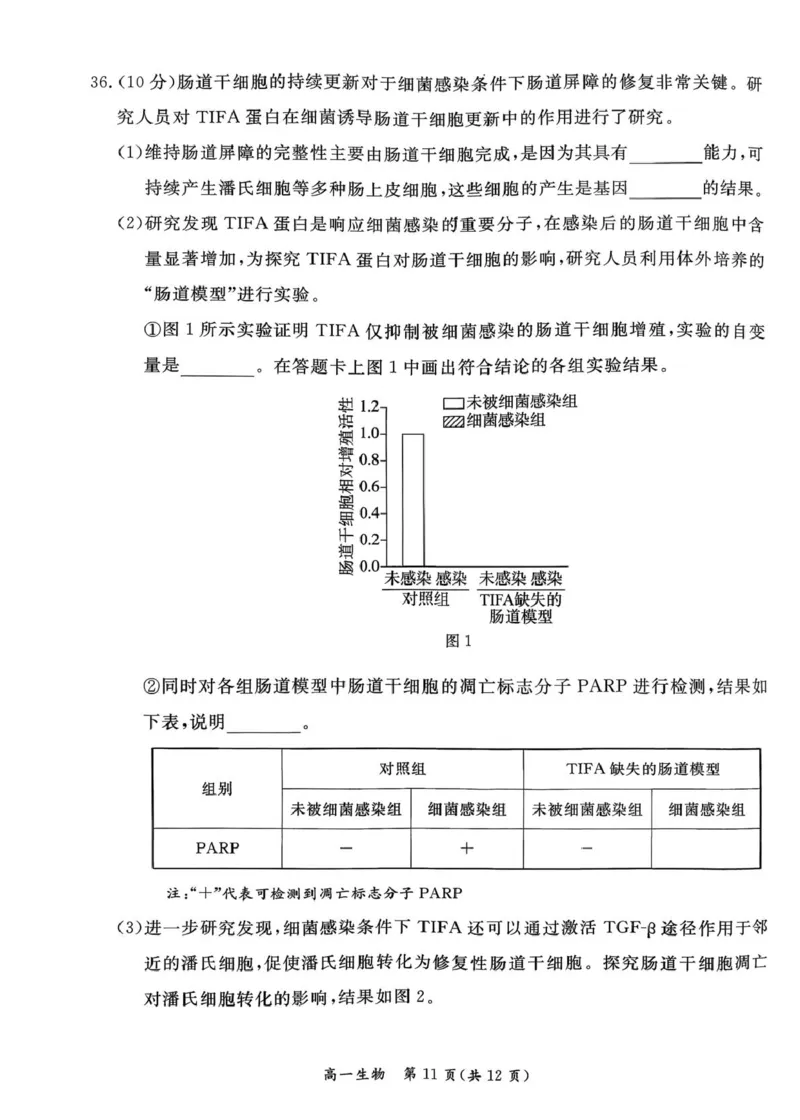 北京市东城区2025-2026学年高一上学期期末生物试卷（图片版，含答案）_2026年02月高一试卷_260202北京市东城区2025-2026学年高一上学期期末