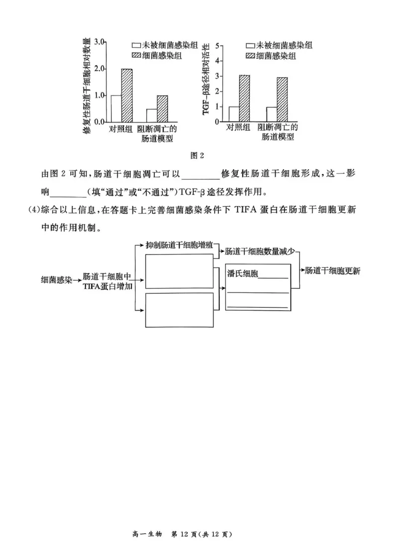 北京市东城区2025-2026学年高一上学期期末生物试卷（图片版，含答案）_2026年02月高一试卷_260202北京市东城区2025-2026学年高一上学期期末