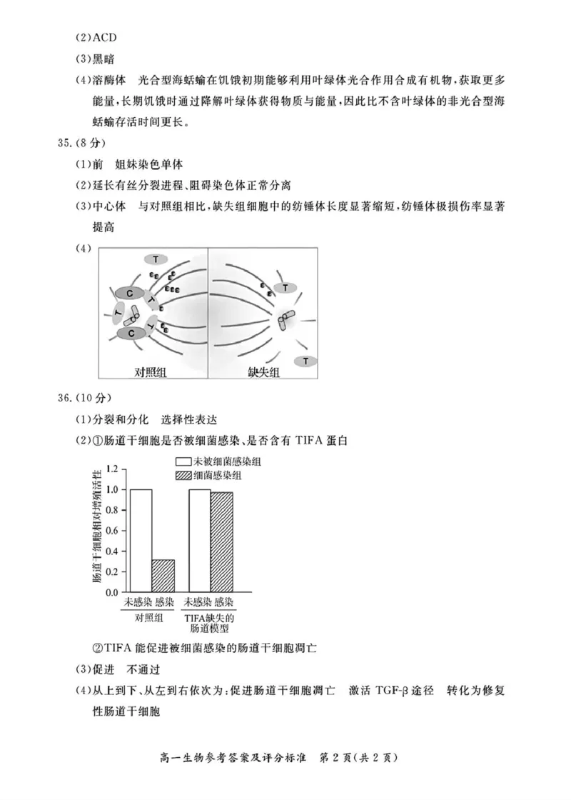 北京市东城区2025-2026学年高一上学期期末生物试卷（图片版，含答案）_2026年02月高一试卷_260202北京市东城区2025-2026学年高一上学期期末
