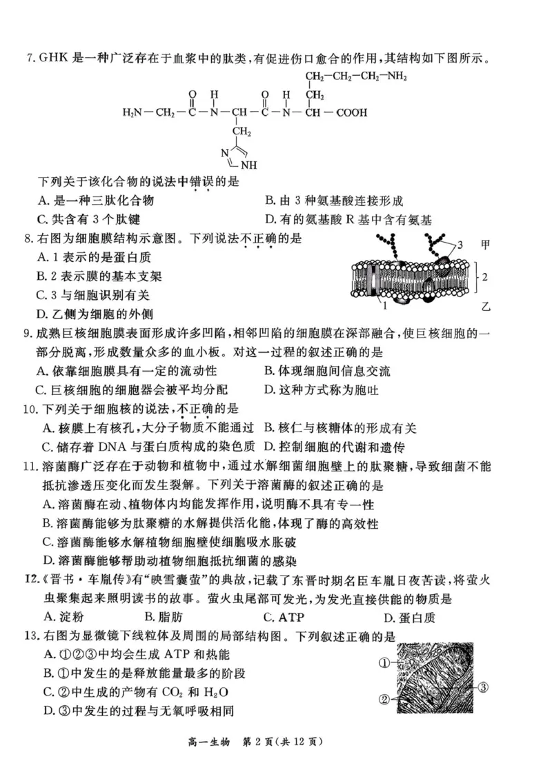 北京市东城区2025-2026学年高一上学期期末生物试卷（图片版，含答案）_2026年02月高一试卷_260202北京市东城区2025-2026学年高一上学期期末