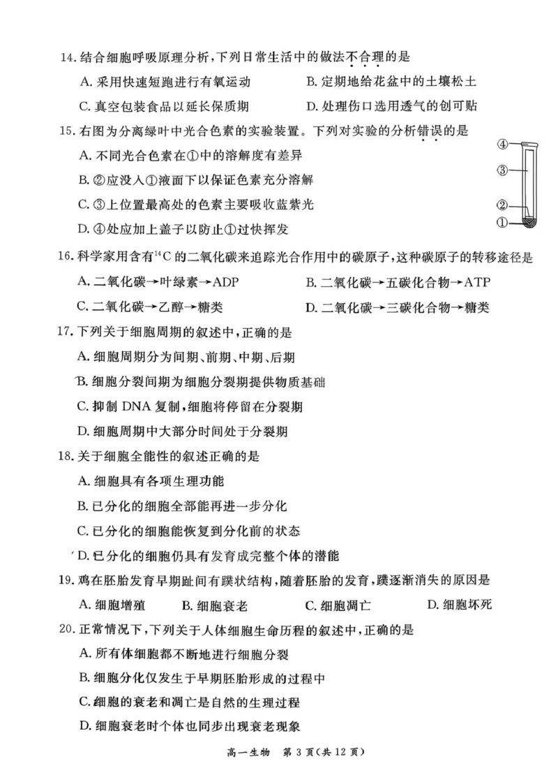 北京市东城区2025-2026学年高一上学期期末生物试卷（图片版，含答案）_2026年02月高一试卷_260202北京市东城区2025-2026学年高一上学期期末