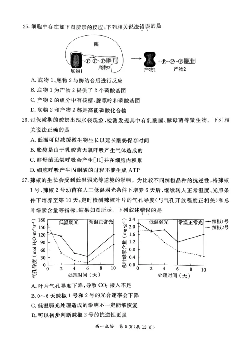 北京市东城区2025-2026学年高一上学期期末生物试卷（图片版，含答案）_2026年02月高一试卷_260202北京市东城区2025-2026学年高一上学期期末