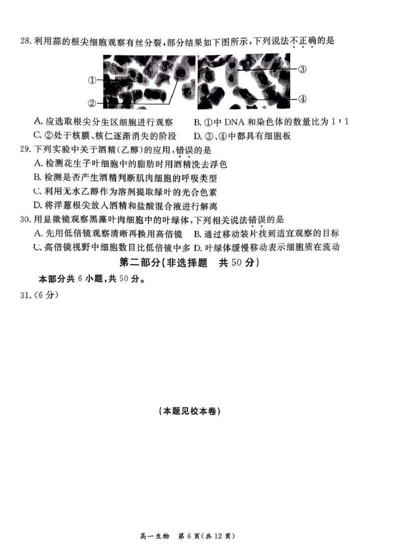 北京市东城区2025-2026学年高一上学期期末生物试卷（图片版，含答案）_2026年02月高一试卷_260202北京市东城区2025-2026学年高一上学期期末