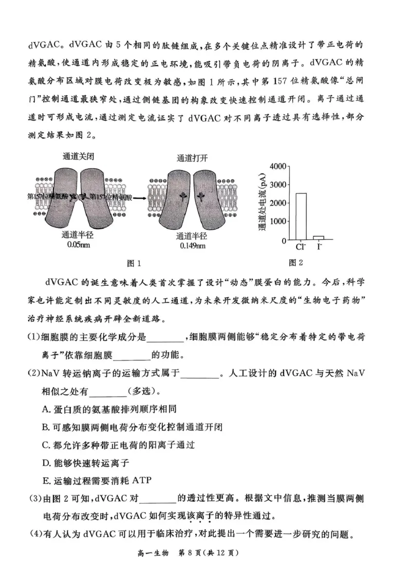 北京市东城区2025-2026学年高一上学期期末生物试卷（图片版，含答案）_2026年02月高一试卷_260202北京市东城区2025-2026学年高一上学期期末