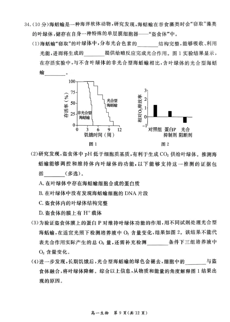 北京市东城区2025-2026学年高一上学期期末生物试卷（图片版，含答案）_2026年02月高一试卷_260202北京市东城区2025-2026学年高一上学期期末