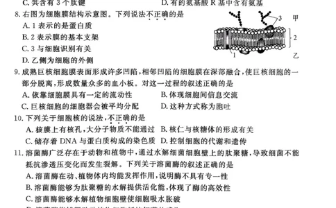 北京市东城区2025-2026学年高一上学期期末生物试卷（图片版，含答案）_2026年02月高一试卷_260202北京市东城区2025-2026学年高一上学期期末
