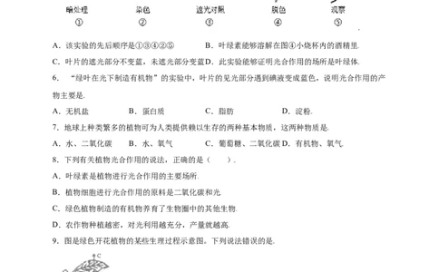 第3单元（第4章）绿色植物是生物圈中有机物的制造者（提分小卷）（人教版）（原卷版）_初中全科电子版试卷练习试题_生物_生物人教版7上练习&mdash;24新版已更新