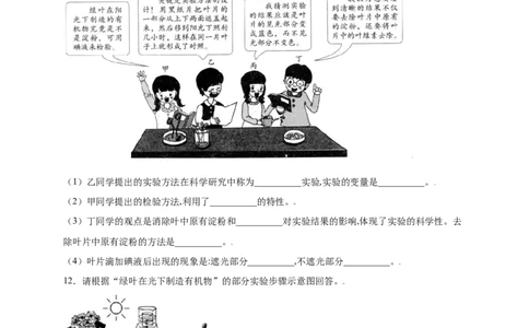 第3单元（第4章）绿色植物是生物圈中有机物的制造者（提分小卷）（人教版）（原卷版）_初中全科电子版试卷练习试题_生物_生物人教版7上练习&mdash;24新版已更新