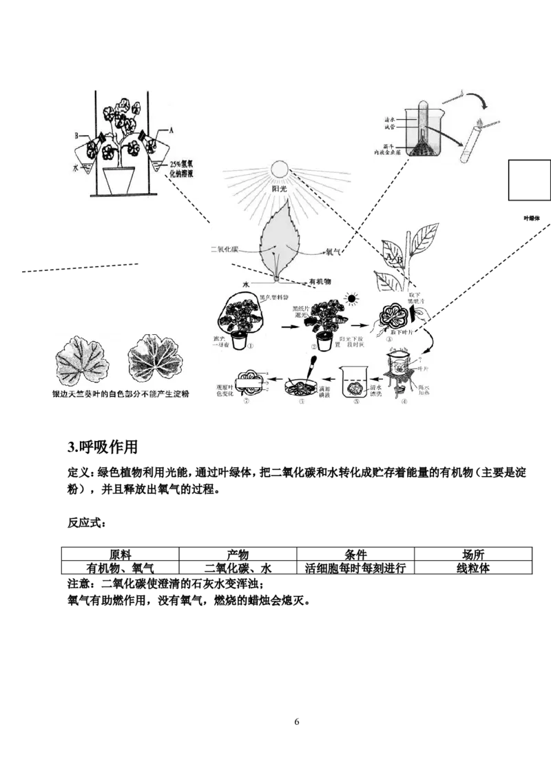 初中生物知识点大全济南版_《初中全科目知识点汇总》_初中生物知识点汇总