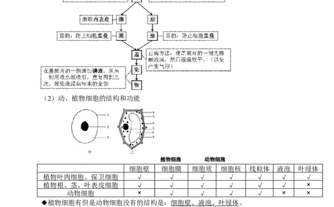 初中生物知识点大全济南版_《初中全科目知识点汇总》_初中生物知识点汇总