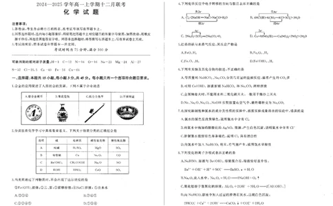 化学_2024年12月试卷_1212辽宁省朝阳市重点高中2024-2025学年高一上学期12月联考试题_辽宁省朝阳市重点高中2024-2025学年高一上学期12月联考试题化学PDF版含解析