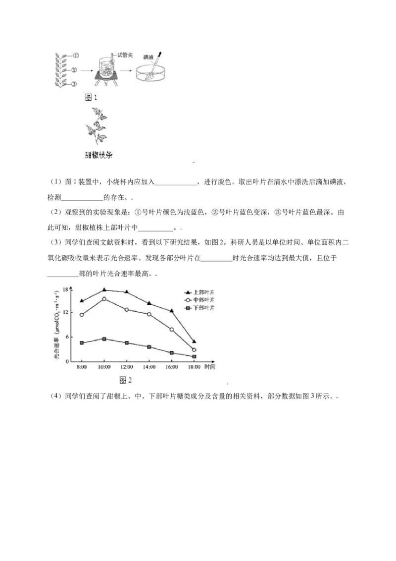 第3单元（第4章）绿色植物是生物圈中有机物的制造者（选拔卷）（人教版）（解析版）_初中全科电子版试卷练习试题_生物_生物人教版7上练习&mdash;24新版已更新