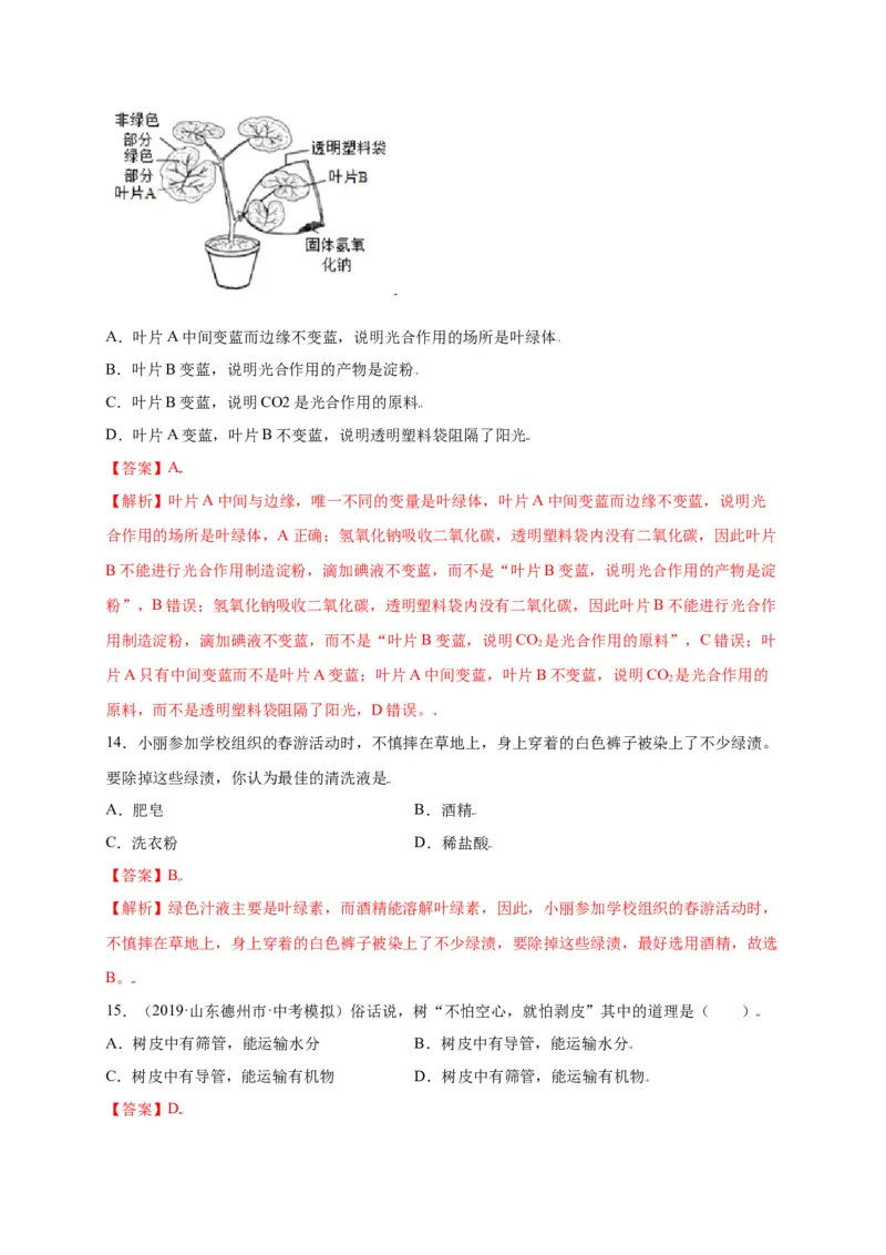 第3单元（第4章）绿色植物是生物圈中有机物的制造者（选拔卷）（人教版）（解析版）_初中全科电子版试卷练习试题_生物_生物人教版7上练习&mdash;24新版已更新