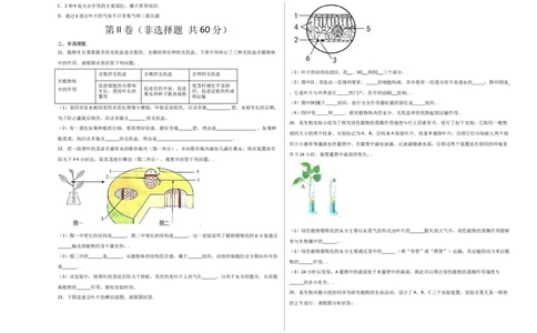 第3单元（第3章）绿色植物与生物圈的水循环（选拔卷）（人教版）（考试版）_初中全科电子版试卷练习试题_生物_生物人教版7上练习&mdash;24新版已更新
