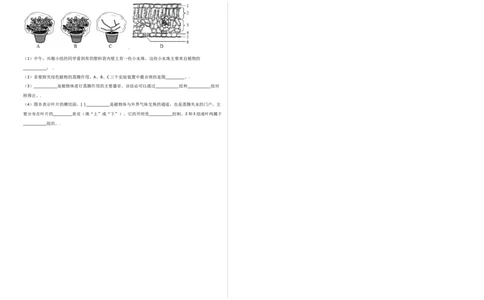 第3单元（第3章）绿色植物与生物圈的水循环（选拔卷）（人教版）（考试版）_初中全科电子版试卷练习试题_生物_生物人教版7上练习&mdash;24新版已更新
