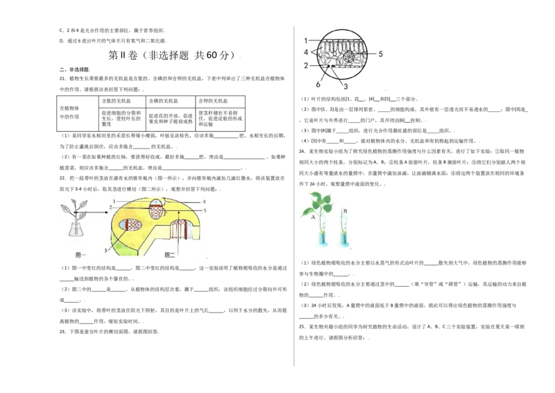 第3单元（第3章）绿色植物与生物圈的水循环（选拔卷）（人教版）（考试版）_初中全科电子版试卷练习试题_生物_生物人教版7上练习&mdash;24新版已更新