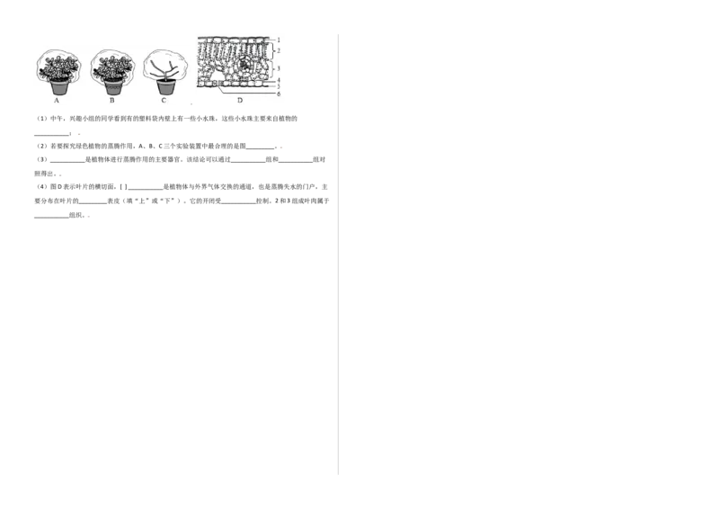第3单元（第3章）绿色植物与生物圈的水循环（选拔卷）（人教版）（考试版）_初中全科电子版试卷练习试题_生物_生物人教版7上练习&mdash;24新版已更新