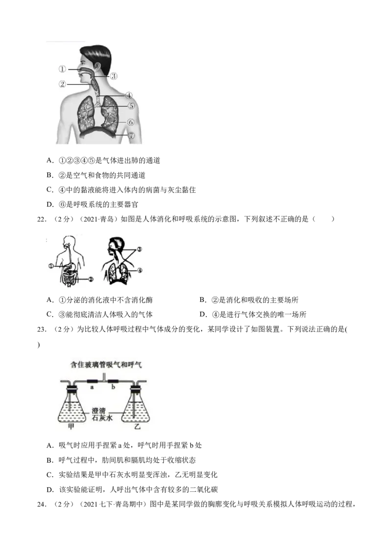 第3章人体的呼吸（人教版）(解析版）_初中全科电子版试卷练习试题_生物_生物人教版7下练习_人教生物7年级下单元试卷33份_第2套七年级生物下册单元试卷（人教版）07份