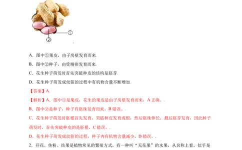 第3单元（第2章）被子植物的一生（提分小卷）（人教版）（解析版）_初中全科电子版试卷练习试题_生物_生物人教版7上练习&mdash;24新版已更新_人教生物7年级上单元试卷36份