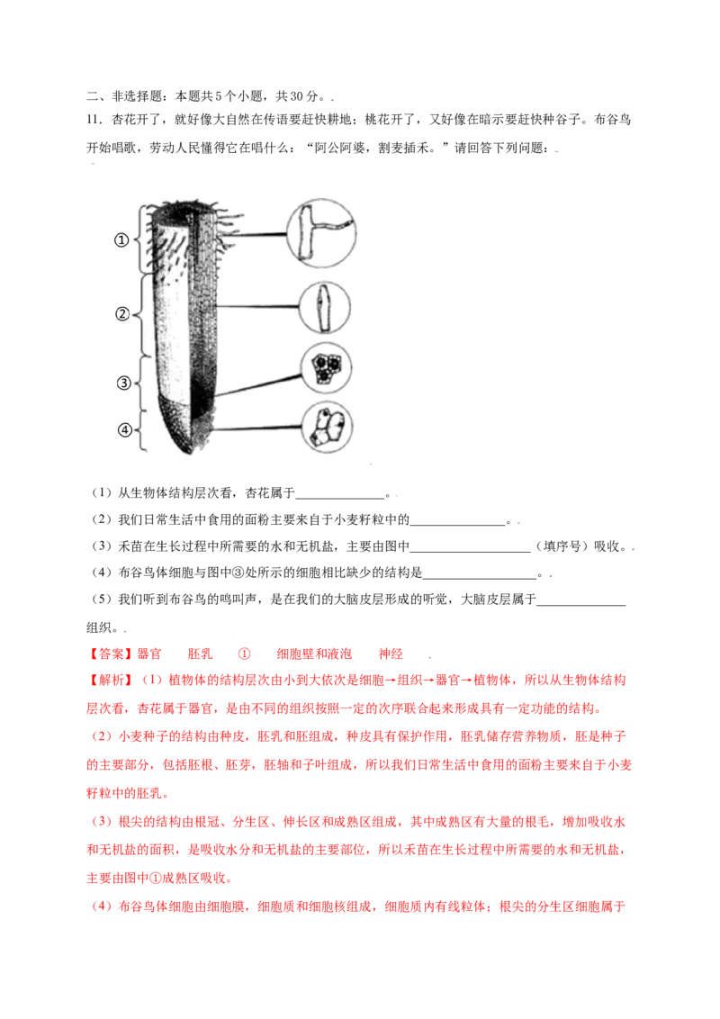 第3单元（第2章）被子植物的一生（提分小卷）（人教版）（解析版）_初中全科电子版试卷练习试题_生物_生物人教版7上练习&mdash;24新版已更新_人教生物7年级上单元试卷36份