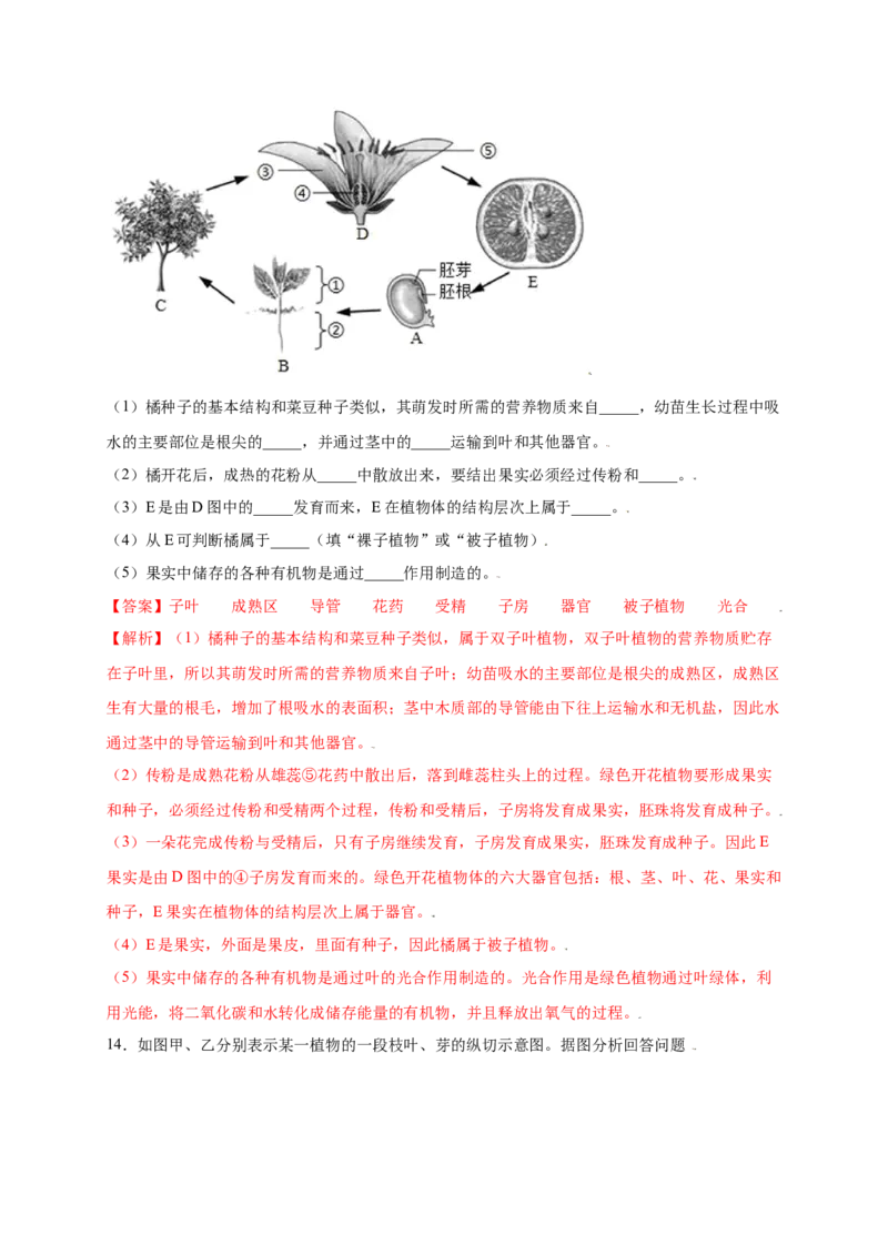 第3单元（第2章）被子植物的一生（提分小卷）（人教版）（解析版）_初中全科电子版试卷练习试题_生物_生物人教版7上练习&mdash;24新版已更新_人教生物7年级上单元试卷36份