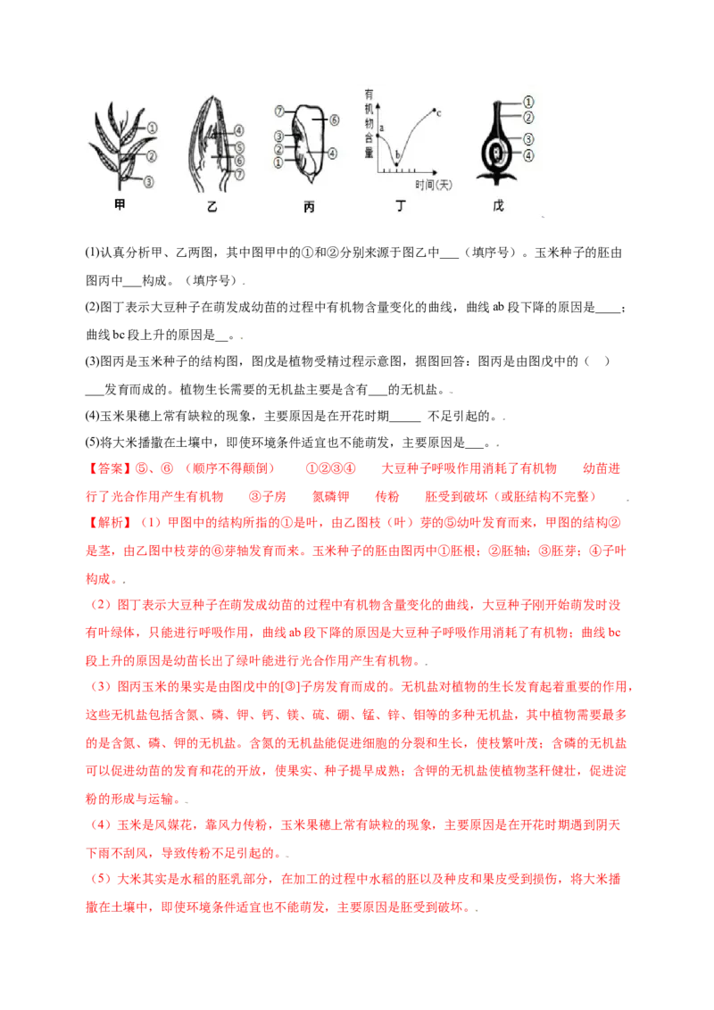 第3单元（第2章）被子植物的一生（提分小卷）（人教版）（解析版）_初中全科电子版试卷练习试题_生物_生物人教版7上练习&mdash;24新版已更新_人教生物7年级上单元试卷36份