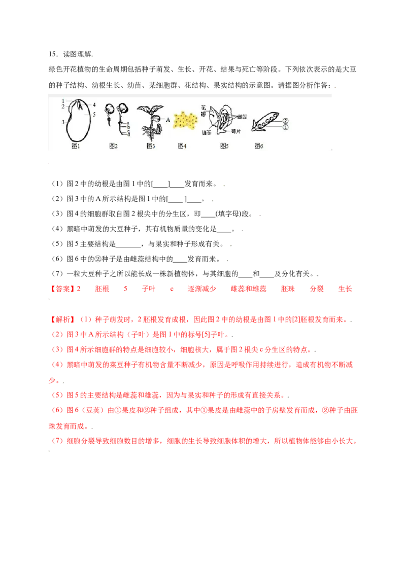 第3单元（第2章）被子植物的一生（提分小卷）（人教版）（解析版）_初中全科电子版试卷练习试题_生物_生物人教版7上练习&mdash;24新版已更新_人教生物7年级上单元试卷36份