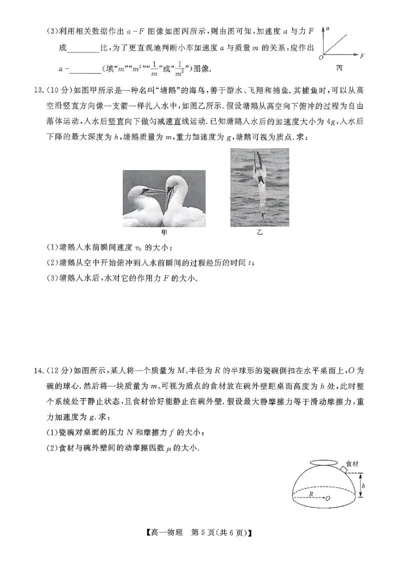北海2025-2026秋季期末高一物理试卷_2026年02月高一试卷_260210广西壮族自治区北海市2025-2026学年高一上学期期末教学质量检测（全）