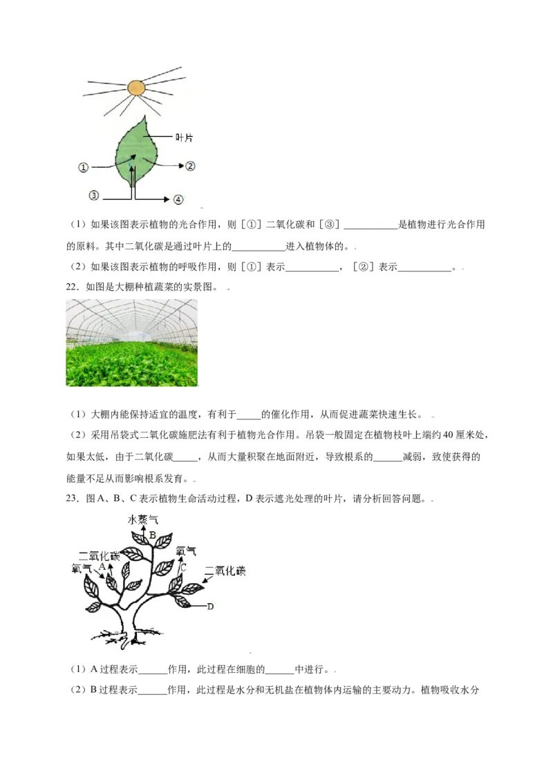 第3单元（第5章）绿色植物与生物圈中的碳-氧平衡（选拔卷）（人教版）（原卷版）_初中全科电子版试卷练习试题_生物_生物人教版7上练习&mdash;24新版已更新
