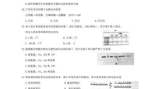 2016年上海市高考生物试题_0122026上海中考一模二模真题试卷_2026年上海一模_上海1500初中高中试卷_高中_高考真题_6.上海高考生物2023-2014