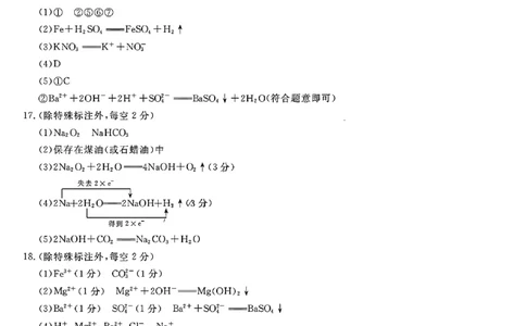 化学答案_2024年11月试卷_1115辽宁省沈阳市联合体2024-2025学年高一上学期11月期中考试_辽宁省沈阳市联合体2024-2025学年高一上学期11月期中考试化学试题含答案