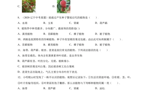 第3单元（第1章）生物圈中有哪些绿色植物（选拔卷）（人教版）（原卷版）_初中全科电子版试卷练习试题_生物_生物人教版7上练习&mdash;24新版已更新_人教生物7年级上单元试卷36份