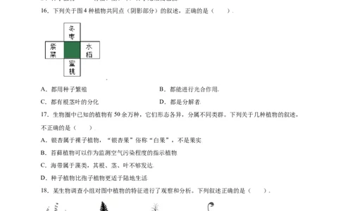 第3单元（第1章）生物圈中有哪些绿色植物（选拔卷）（人教版）（原卷版）_初中全科电子版试卷练习试题_生物_生物人教版7上练习&mdash;24新版已更新_人教生物7年级上单元试卷36份