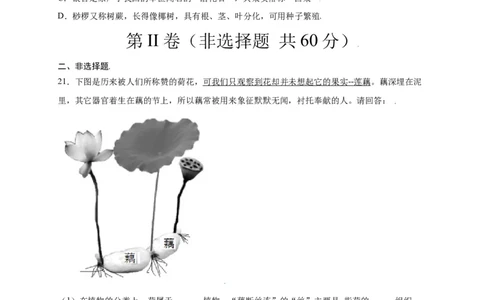 第3单元（第1章）生物圈中有哪些绿色植物（选拔卷）（人教版）（原卷版）_初中全科电子版试卷练习试题_生物_生物人教版7上练习&mdash;24新版已更新_人教生物7年级上单元试卷36份