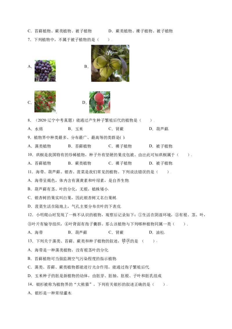 第3单元（第1章）生物圈中有哪些绿色植物（选拔卷）（人教版）（原卷版）_初中全科电子版试卷练习试题_生物_生物人教版7上练习&mdash;24新版已更新_人教生物7年级上单元试卷36份