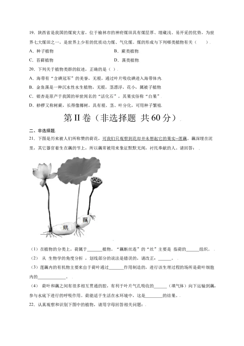 第3单元（第1章）生物圈中有哪些绿色植物（选拔卷）（人教版）（原卷版）_初中全科电子版试卷练习试题_生物_生物人教版7上练习&mdash;24新版已更新_人教生物7年级上单元试卷36份