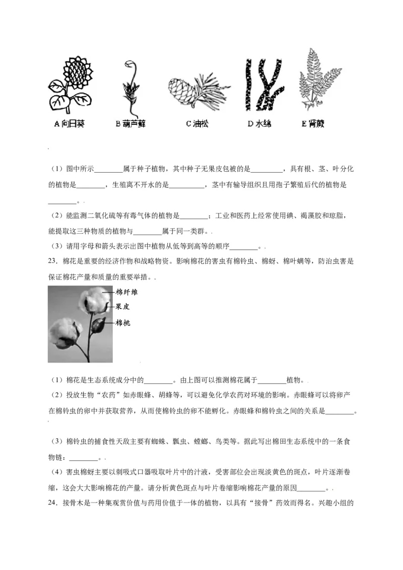 第3单元（第1章）生物圈中有哪些绿色植物（选拔卷）（人教版）（原卷版）_初中全科电子版试卷练习试题_生物_生物人教版7上练习&mdash;24新版已更新_人教生物7年级上单元试卷36份